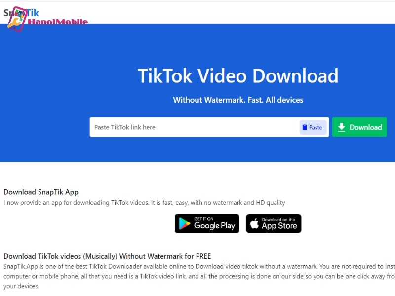 Tải video TikTok bằng SnapTik trên máy tính