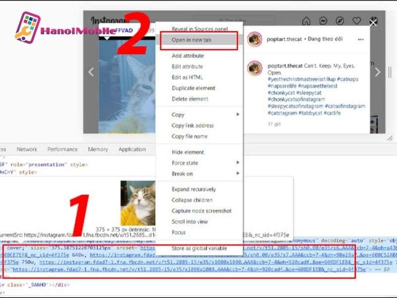 Sử dụng nguồn trang F12 để tải ảnh từ Instagram về máy tính
