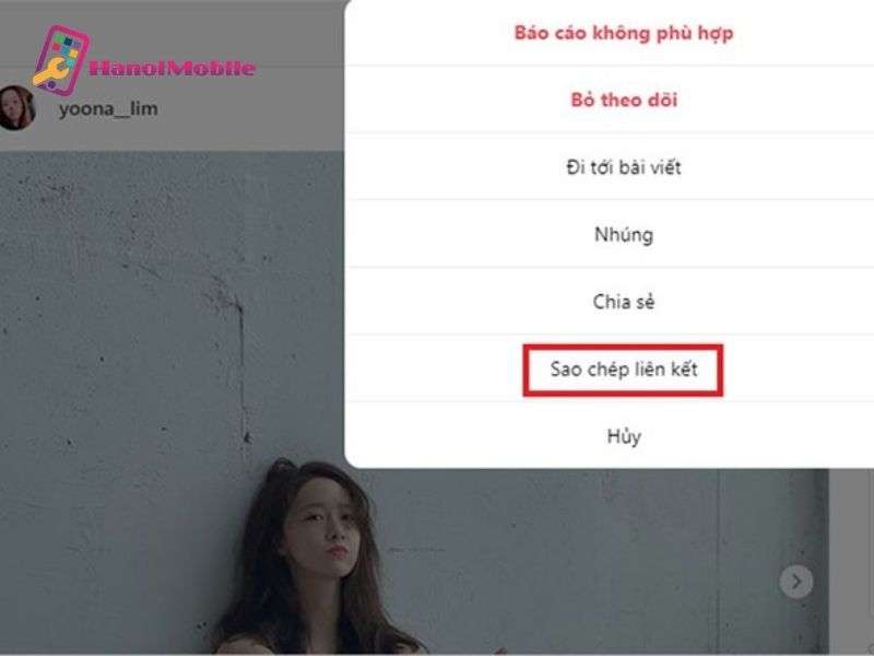 Cách lưu ảnh trên Instagram bằng trang web chuyên dụng