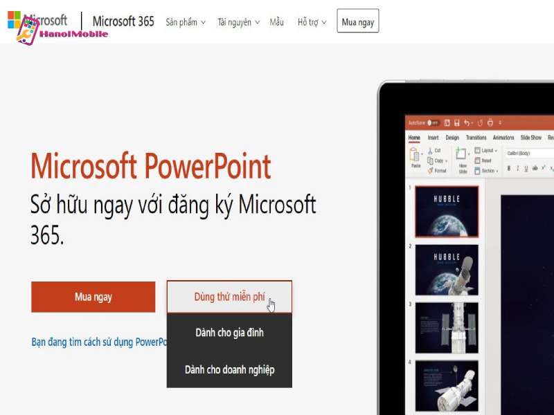 Tải từ trang web của Microsoft