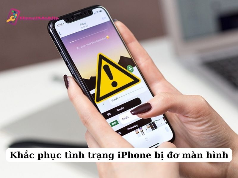 iPhone Bị Đơ Màn Hình