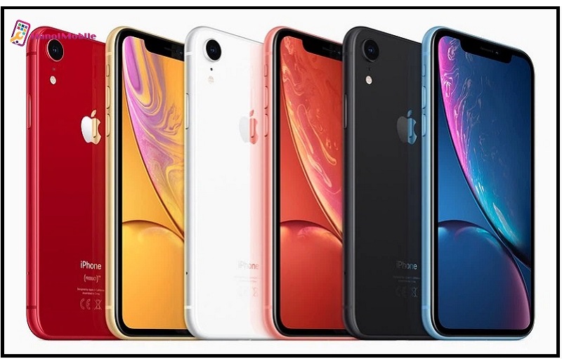  Bảng màu của iPhone Xr